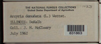 Image Associated With the Occurence